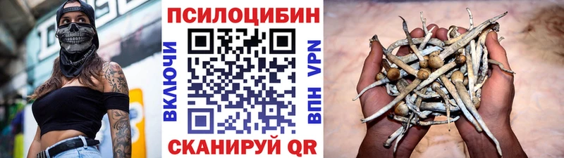 Псилоцибиновые грибы прущие грибы Ельня