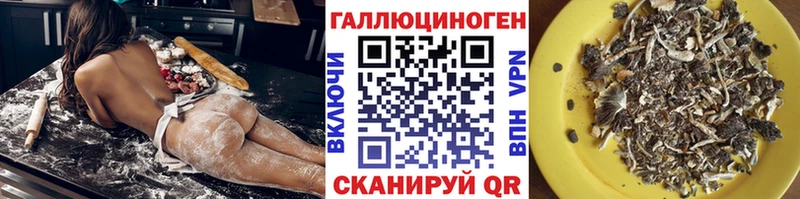 мега вход  Ельня  Псилоцибиновые грибы Cubensis 